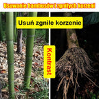 🔥👍🌱Herbicyd cyklozynonowy