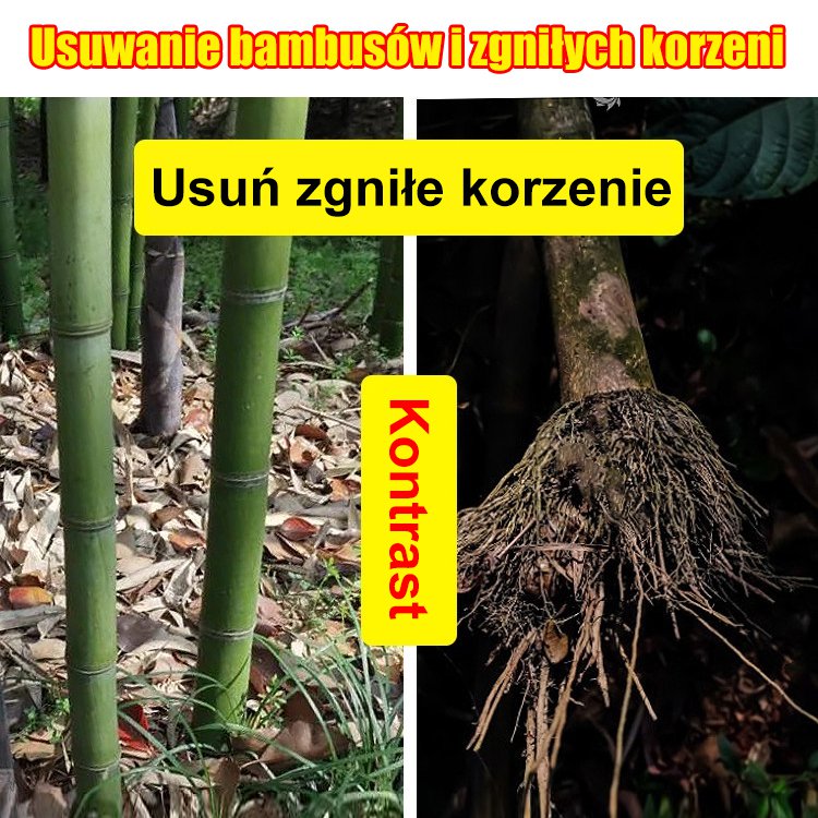 🔥👍🌱Herbicyd cyklozynonowy